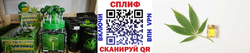 Cannafood конопля  Купить  Буйнакск 