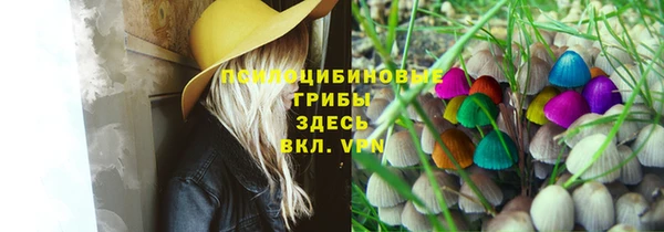 молекула духа Елабуга
