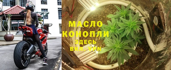 молекула духа Елабуга