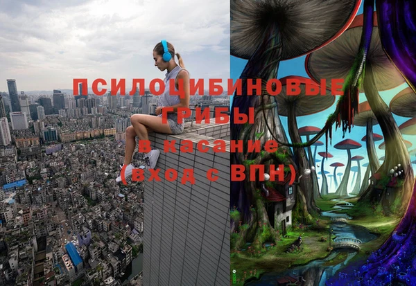 скорость Елизово