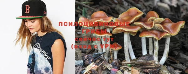 молекула духа Елабуга
