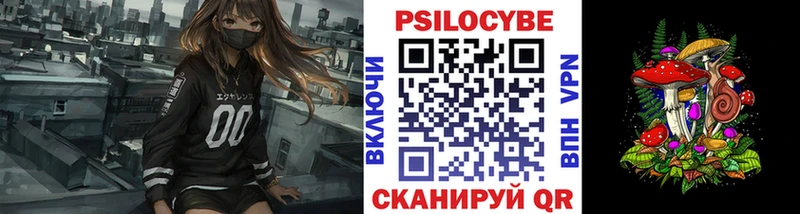 Псилоцибиновые грибы MAGIC MUSHROOMS  Купить где  Буйнакск 